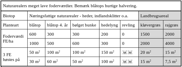 Foderenheder på naturarealer dækker ikke hestes energibehov.